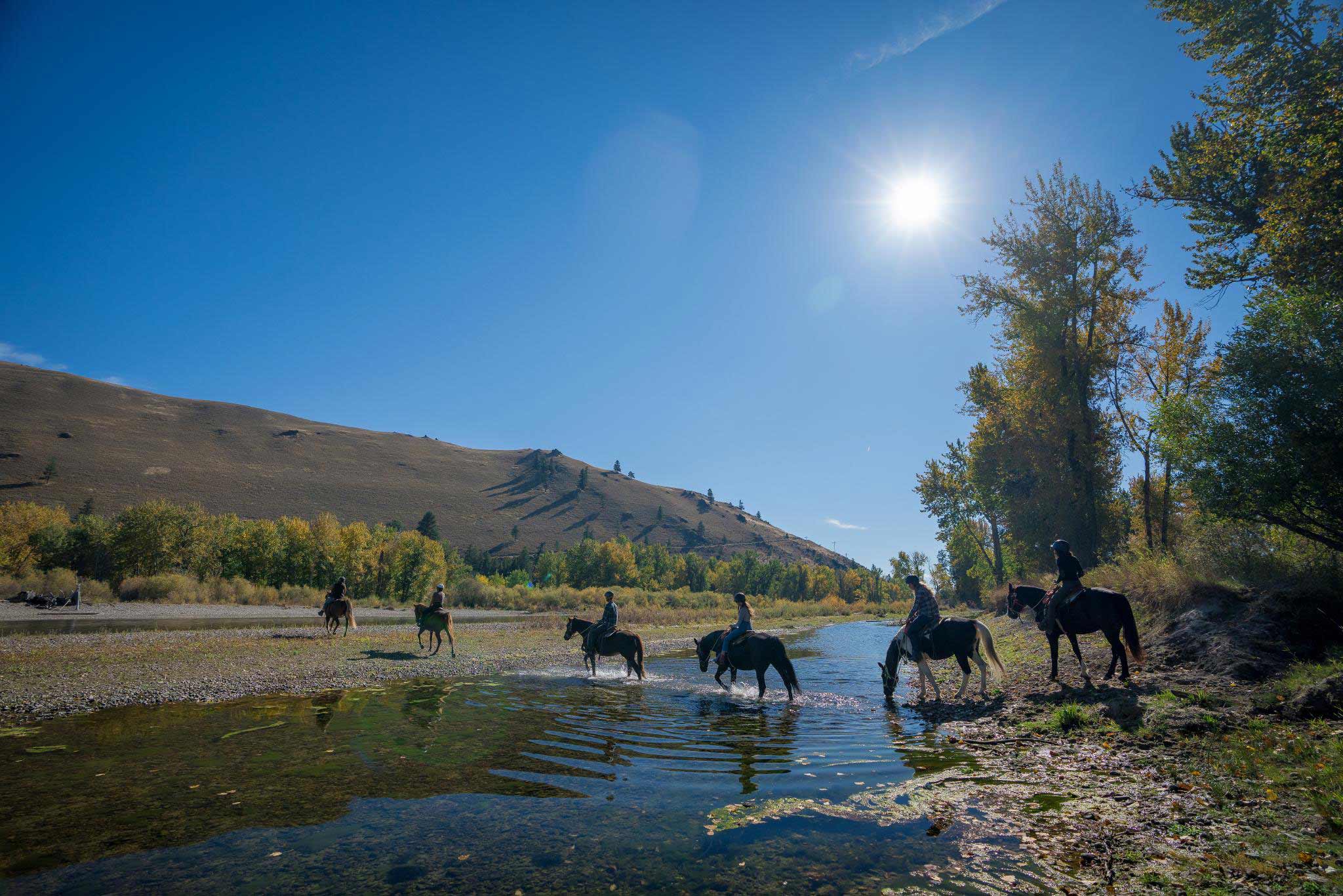 BITTERROOT RIVER, LOLO